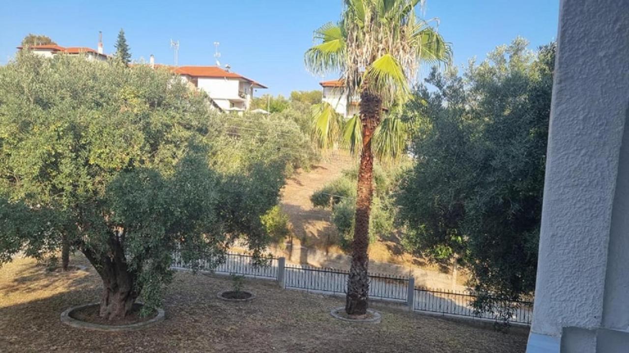 Holiday Aptm - Morningsun2 - Sithonia Άγιος Νικόλαος Εξωτερικό φωτογραφία